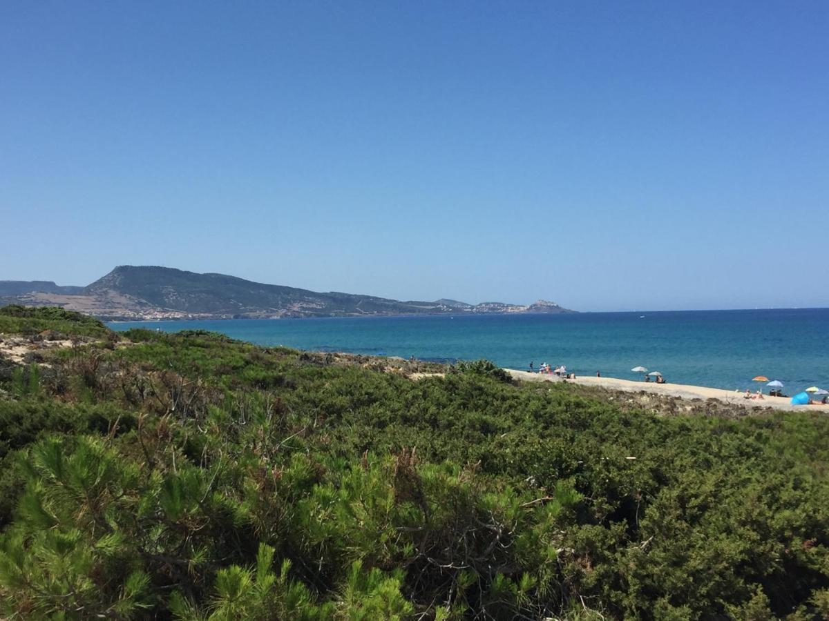 Viddalba Carrabean Sea In The North Of Sardegna, With Swimming Pool 빌라 외부 사진