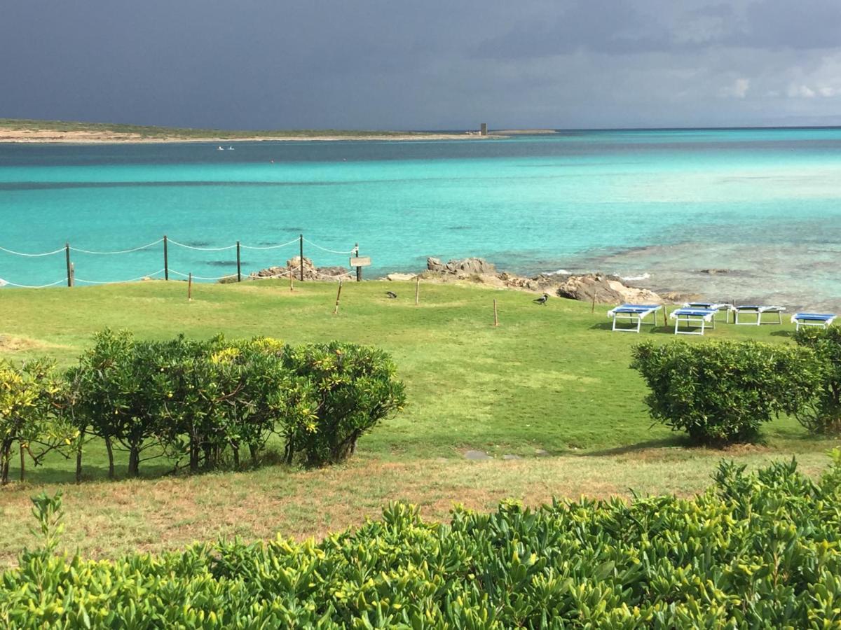 Viddalba Carrabean Sea In The North Of Sardegna, With Swimming Pool 빌라 외부 사진