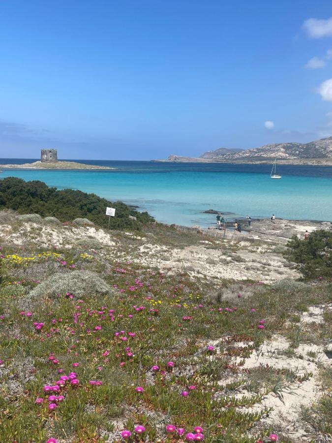 Viddalba Carrabean Sea In The North Of Sardegna, With Swimming Pool 빌라 외부 사진